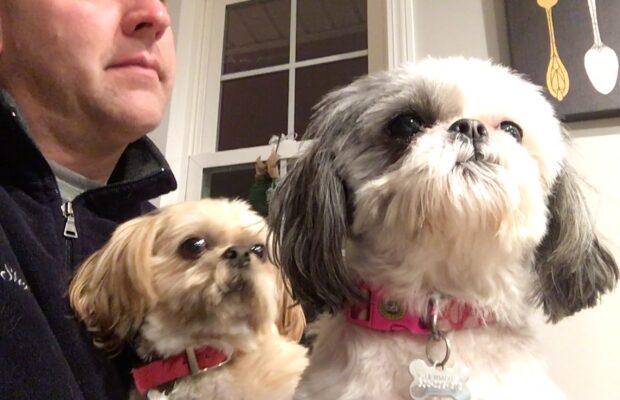 Steve’s dogs are terrified of WHAT? Steve’s dogs are terrified of WHAT?
